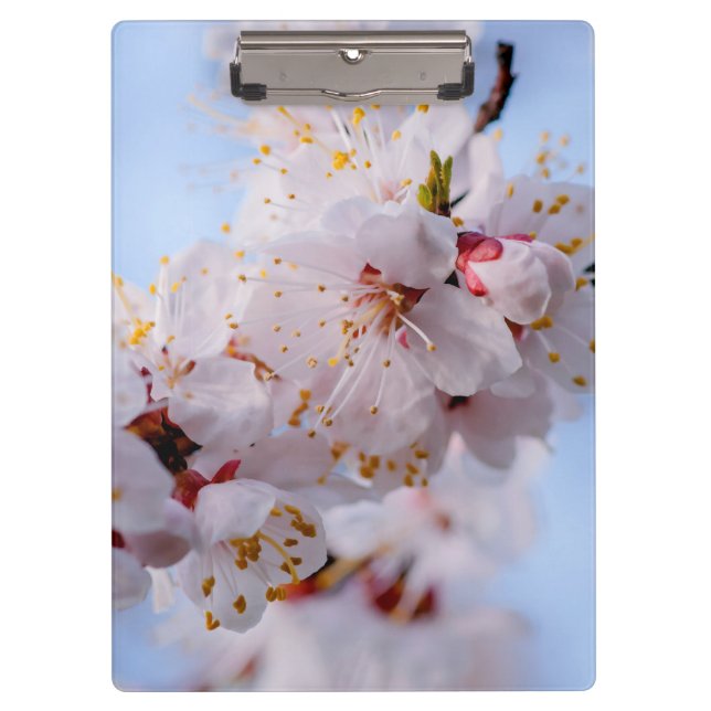 Japanese Apricot Blossom Clipboard (Front)