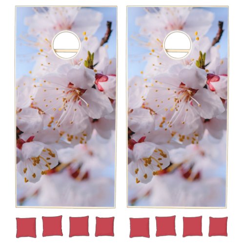 Japanese Apricot Blossom Cornhole Set