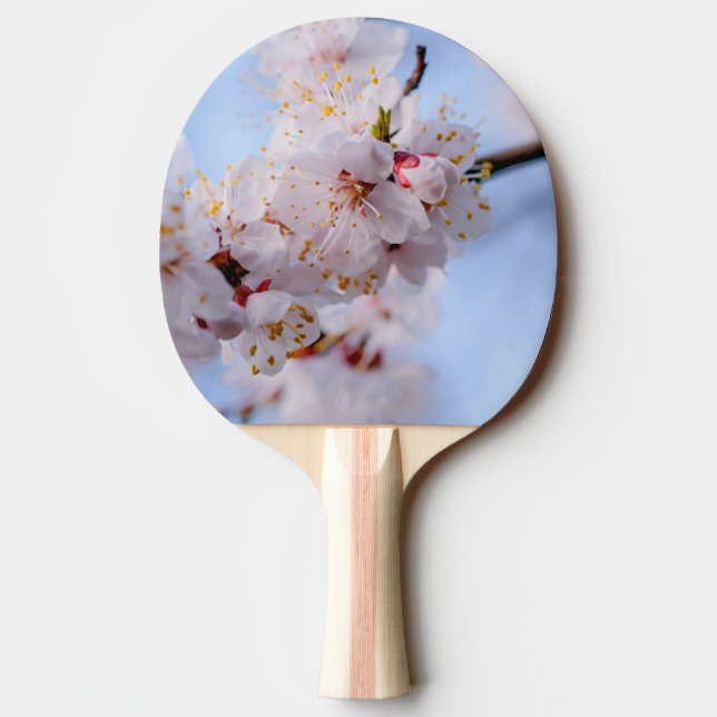 Japanese Apricot Blossom Ping-Pong Paddle (Back)