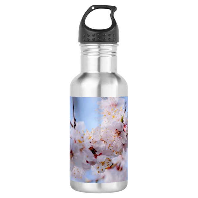 Japanese Apricot Blossom Stainless Steel Water Bottle (Front)
