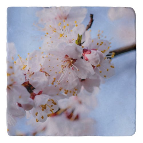 Japanese Apricot Blossom Trivet