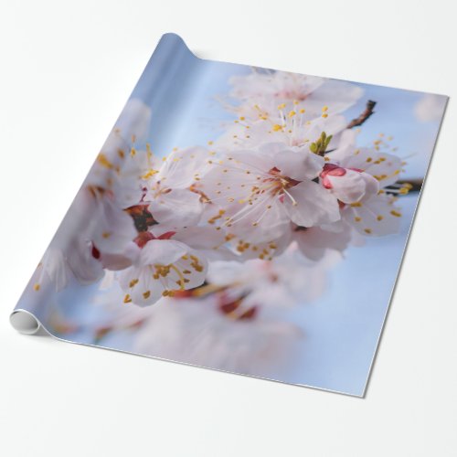 Japanese Apricot Blossom Wrapping Paper