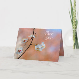 Japanese Apricot blossoms Letterpress Thank You Card