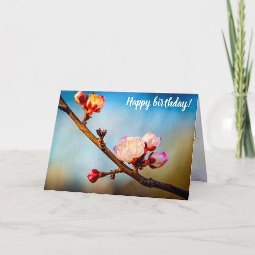 Japanese Apricot Flowers And The Clear Blue Sky Card