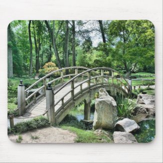 Japanese arc bridge