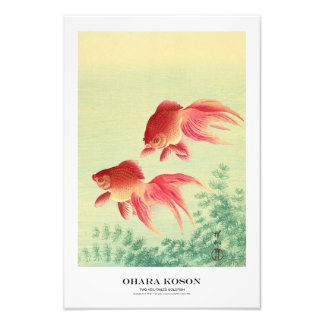 Japanese Art Print - Ohara Koson - Goldfish