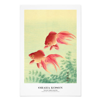 Japanese Art Print - Ohara Koson - Goldfish