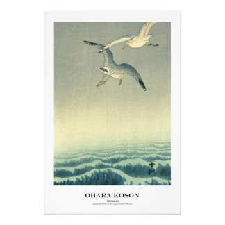 Japanese Art Print - Ohara Koson - Seagull