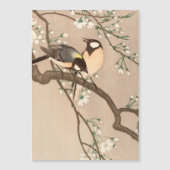 Japanese Asian Koson Bird Chickadee Songbird (Front)