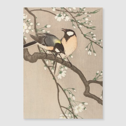 Japanese Asian Koson Bird Chickadee Songbird (Front)