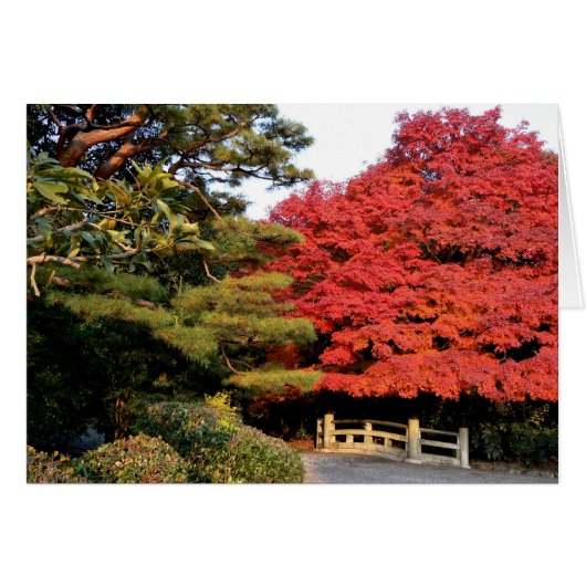 Japanese Autumn Scene Cards (Front Horizontal)