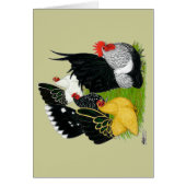 Japanese Bantam Quartet (Front)