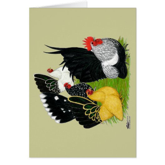 Japanese Bantam Quartet Cards (Front)