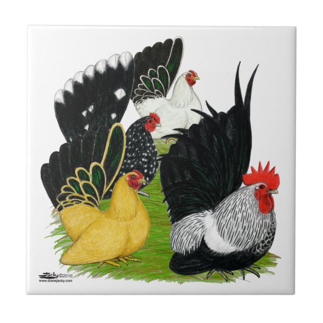 Japanese Bantam Quartet Ceramic Tile (Front)