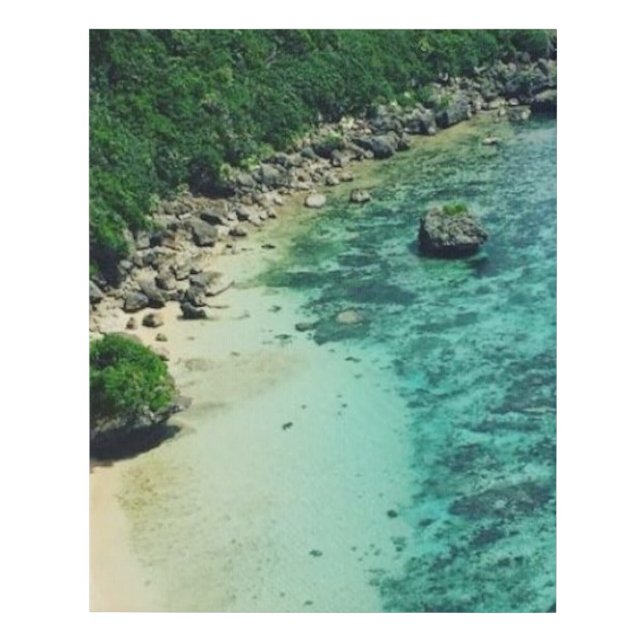 Japanese Beach Triptych (2 of 3) Faux Canvas Print (Front)