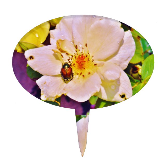 Japanese Beetle on White  Rose Cake Topper (Front)