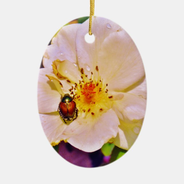 Japanese Beetle on White  Rose Ceramic Ornament (Front)