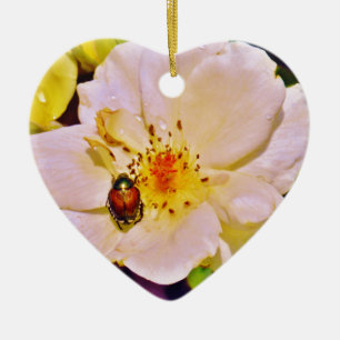 Japanese Beetle on White Rose Ceramic Ornament