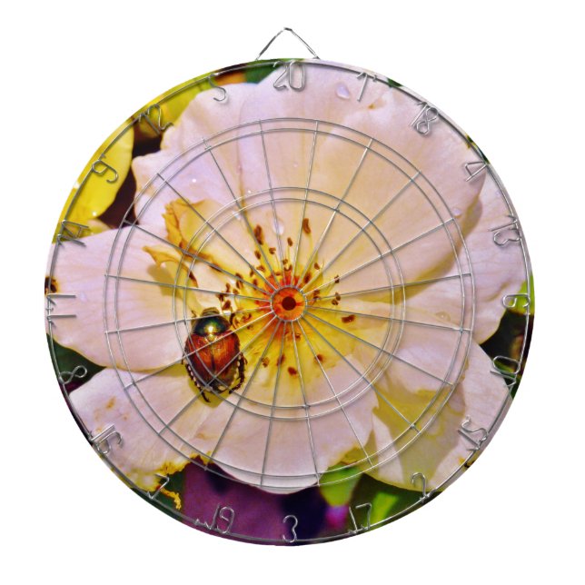 Japanese Beetle on White  Rose Dart Board (Front)