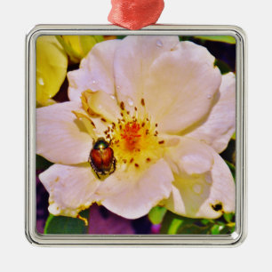 Japanese Beetle on White Rose Metal Ornament