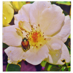 Japanese Beetle on White Rose Napkin