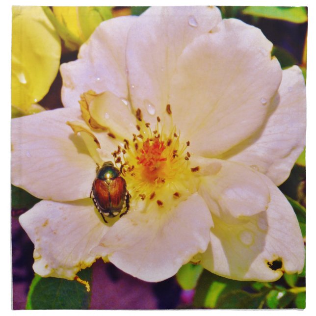 Japanese Beetle on White  Rose Napkin (Front)