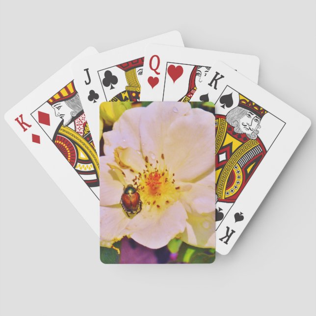 Japanese Beetle on White  Rose Poker Cards (Back)