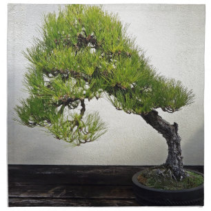 Japanese Black Pine Bonsai Cloth Napkin