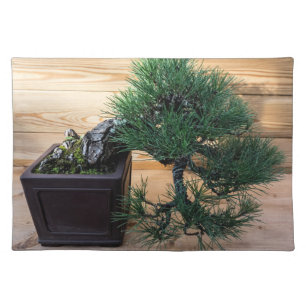 Japanese Black Pine Bonsai Tree Photo Cloth Placemat