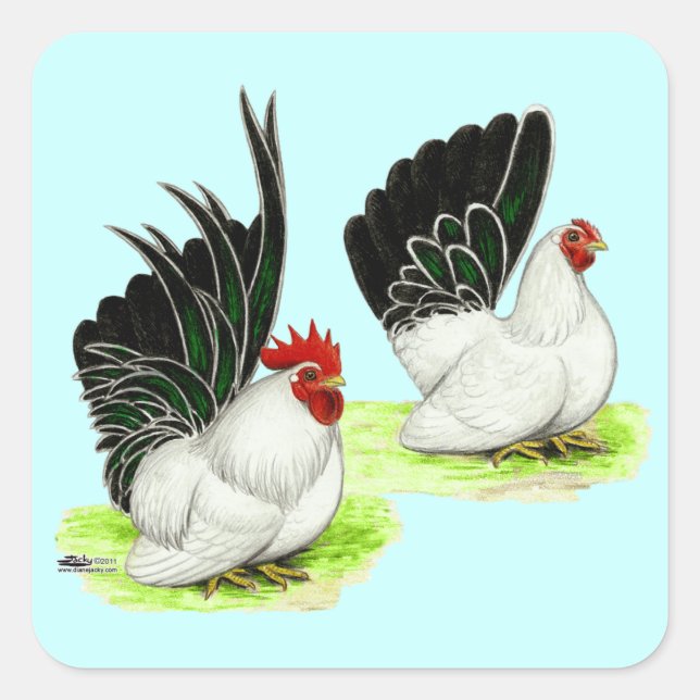 Japanese Black White Bantams Square Sticker (Front)