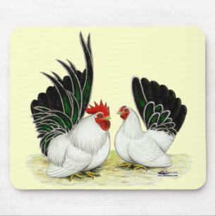 Japanese Blacktail Bantams Mouse Pad