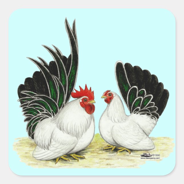Japanese Blacktail Bantams Square Sticker (Front)