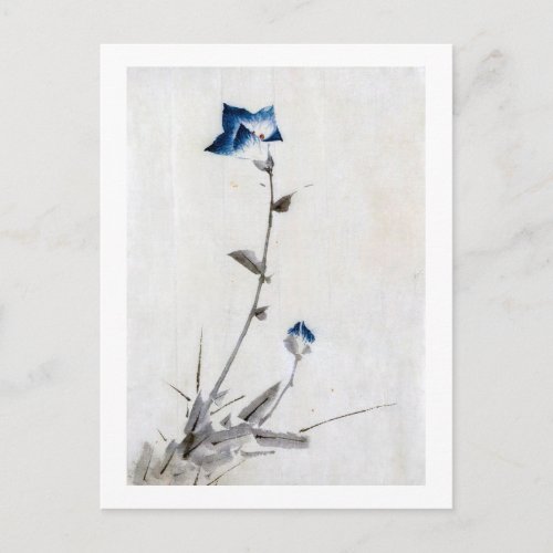 Japanese Blue Bellflower Hokusai Ukiyo_e Postcard