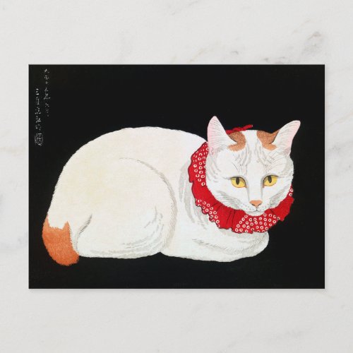 Japanese Bobtail Cat Shotei Postcard