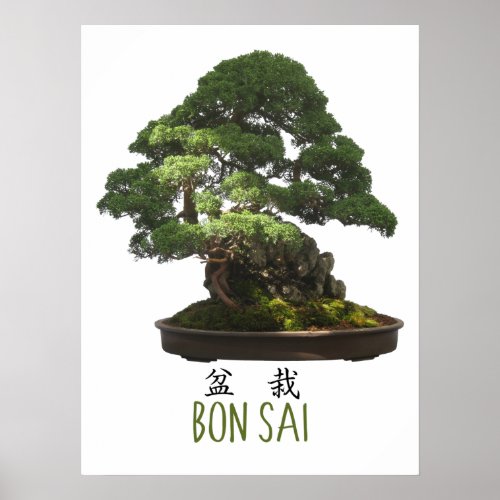 Japanese Bonsai Tree and Symbol Poster