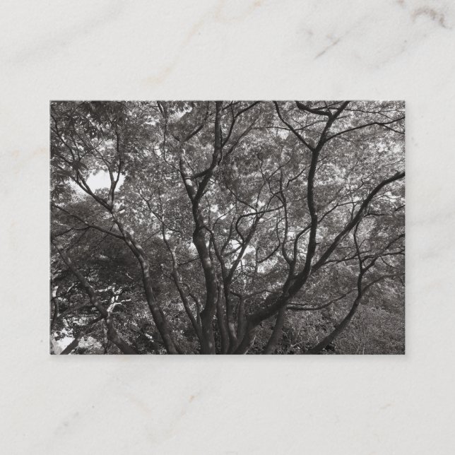 Japanese Branches 02 Business Card (Front)