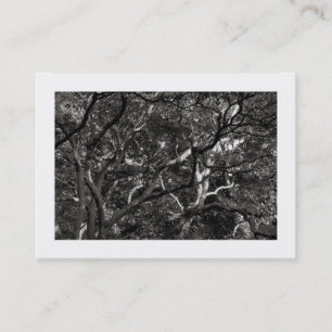 Japanese Branches 03 (Bordered) Business Card