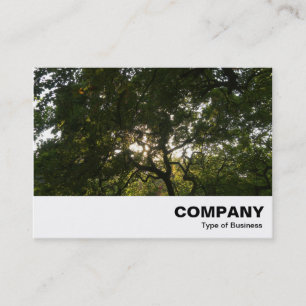 Japanese Branches 04 Business Card