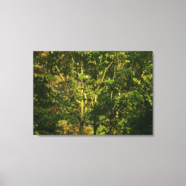 Japanese Branches V Canvas Print (Front)