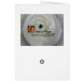 Japanese Camelia Cards (Back)