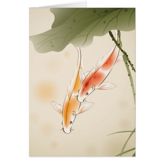 Japanese Carp fishes swimming in lotus pond (Front)