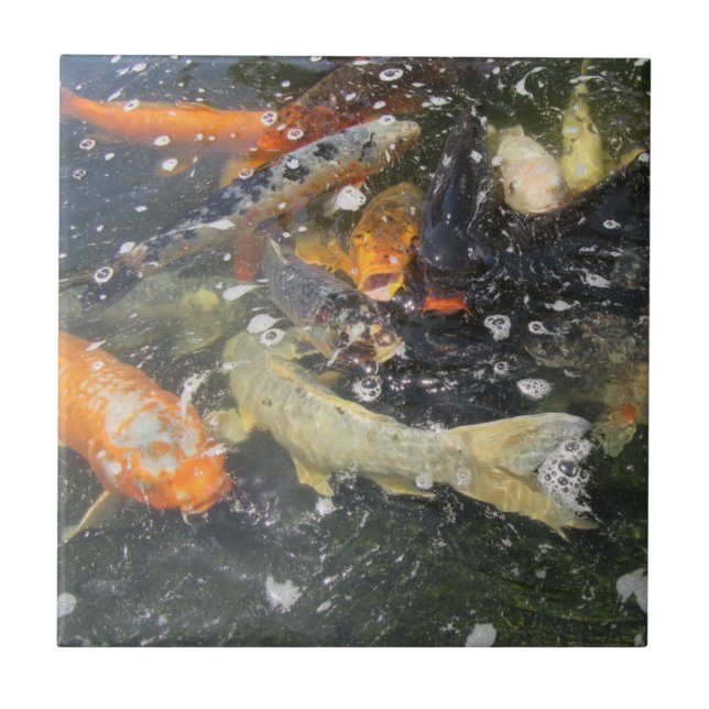 Japanese Carp Koi Fish Swimming   Ceramic Tile (Front)