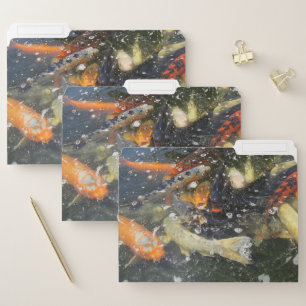 Japanese Carp Koi Fish Swimming  File Folder