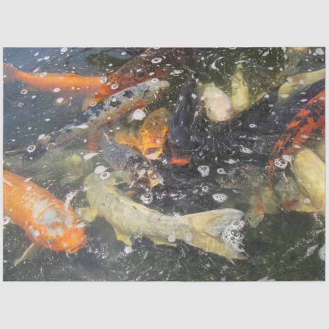 Japanese Carp Koi Fish Swimming  Tissue Paper (Front)