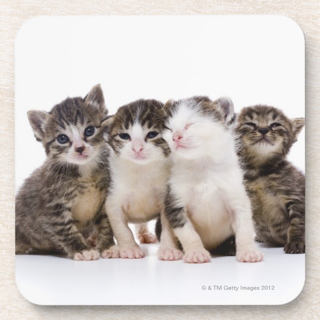 Japanese cat beverage coaster (Front)