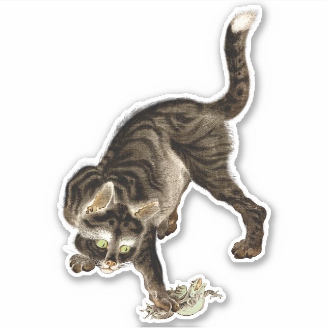 Japanese Cat Catching a Frog Sticker (Front)