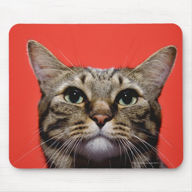Japanese cat looking up mouse pad (Front)