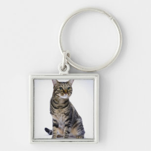 Japanese cat on white background keychain