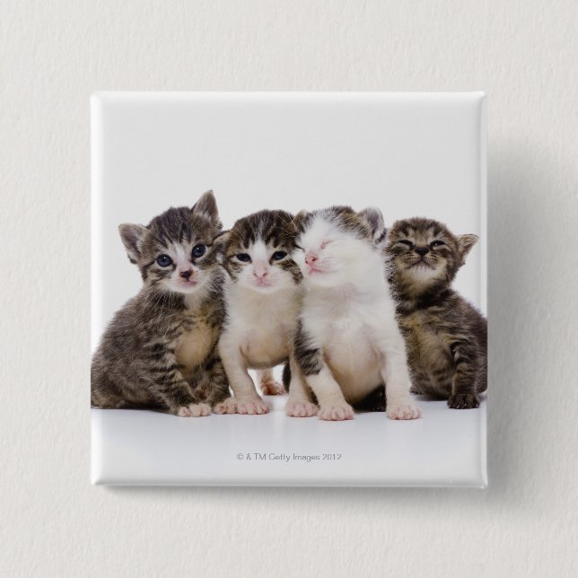 Japanese cat pinback button (Front)