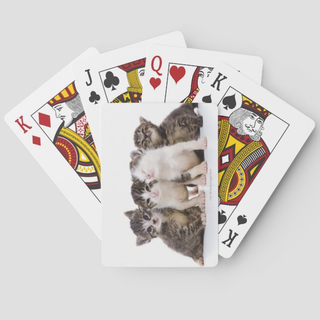 Japanese cat poker cards (Back)
